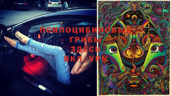 первитин Богородицк